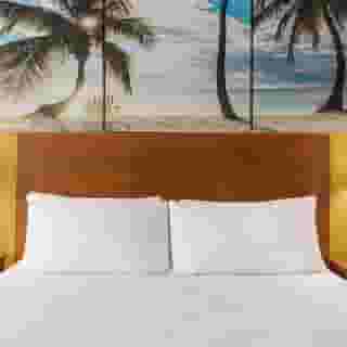 enVision Hotel Miami International Airport, 4 of 6