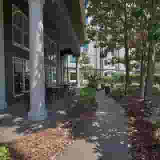 La Quinta Inn & Suites by Wyndham Orlando I Drive/Conv Ctr, 5 of 6