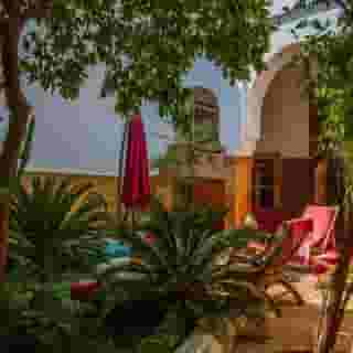 Riad Dombaraka, 2 of 6