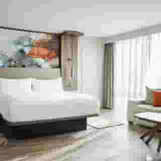 Chicago Marriott Oak Brook, 4 of 6