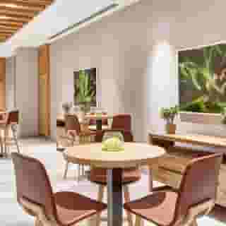 Hilton Garden Inn Dubai, Mall Avenue, 6 of 6