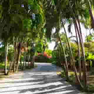 The Verandah Antigua, 4 of 6