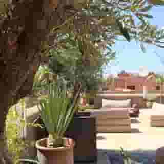 Riad Houma, 5 of 6
