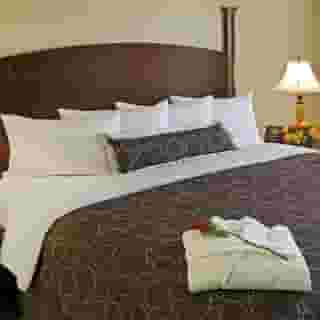 Staybridge Suites Oakville by Ihg, 3 of 6