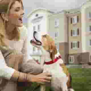 Candlewood Suites Austin-Round Rock by Ihg, 5 of 6
