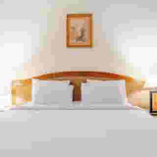 Om Kolthoom, 3 of 6