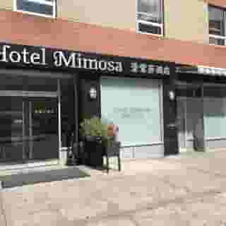 Hotel Mimosa, 3 of 6