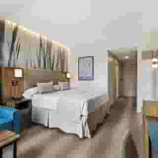 Hotel Riu Plaza Chicago, 6 of 6