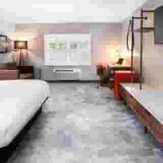 Hollywood Inn Suites Hotel, 4 of 6