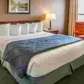Quality Inn Schaumburg - Chicago near the Mall, 5 of 6