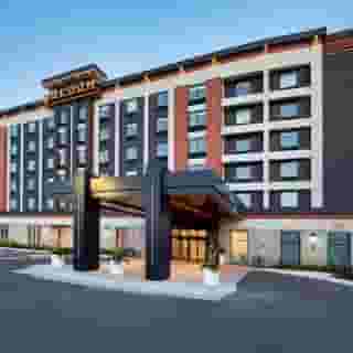 Bloom Mississauga, Tapestry Collection by Hilton, 3 of 6