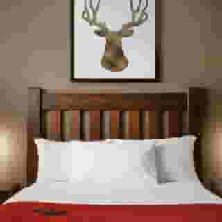 Great Wolf Lodge Grapevine, 3 of 6