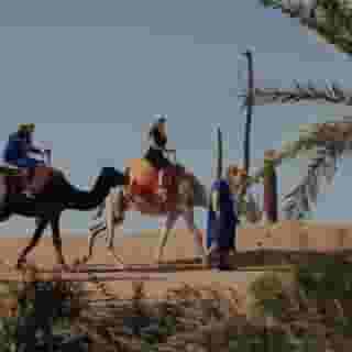Palmeraie Oasis Camp - A Member Of Barcelo Hotel Group, 3 of 6