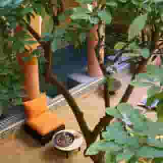 Riad El Borj, 4 of 6