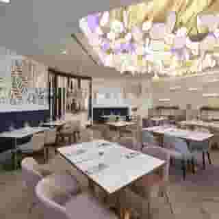 Bloom Mississauga, Tapestry Collection by Hilton, 6 of 6