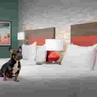 Home2 Suites By Hilton Georgetown Austin North, 2 of 6