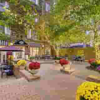 Best Western Plus Hawthorne Terrace Hotel, 3 of 6