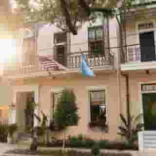 Garden District Hotel, 3 of 6