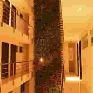 The Mesui Hotel, 1 of 5