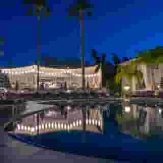 King Jason Paphos - Designed for Adults Only, 4 of 5