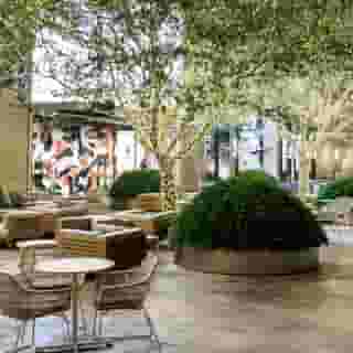 Westin Galleria Houston, 3 of 5