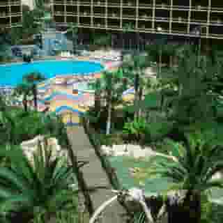 Sheraton Orlando Lake Buena Vista Resort, 6 of 6