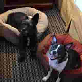 Best Western Premier Chateau Granville Hotel & Suites, 1 of 5