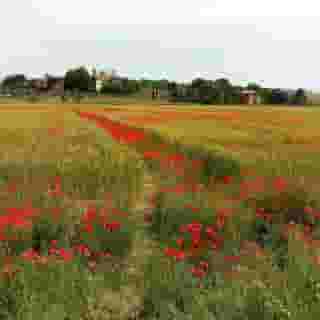 Hotel 1000 Miglia, 1 of 5