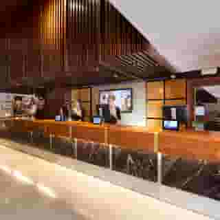 Miguel Angel, 1 of 5