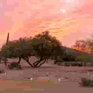 Civana Carefree, 4 of 5