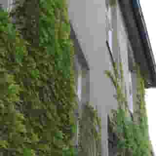 Seifert Pension, 4 of 5