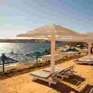 Grand Oasis Resort, 4 of 5