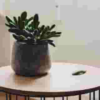 Hygge Lisbon Suites - Estrela, 5 of 5