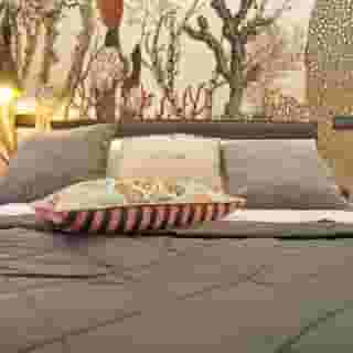 La Vita e Bella IV, 5 of 5