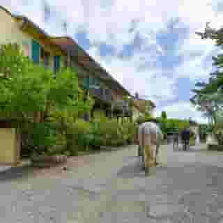 Domaine De Fraisse, 1 of 5