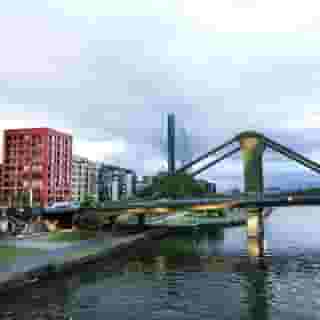 THE FLAG Oskar M., 4 of 5