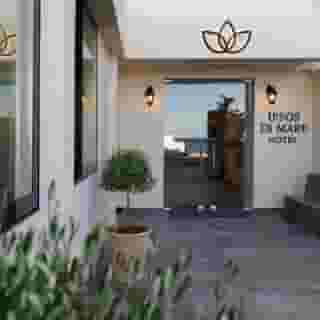 Ipsos Di Mare, 3 of 5