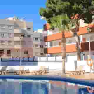 La Familia Gallo Rojo, 2 of 5