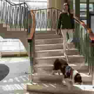 Sheraton Poznan, 5 of 5