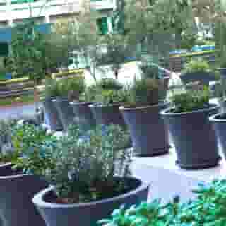 Athenian Montaza Hotel, 1 of 5