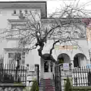 Villa Mystique, 1 of 5