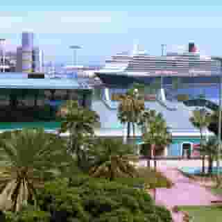 Miami Las Plamas, 1 of 5