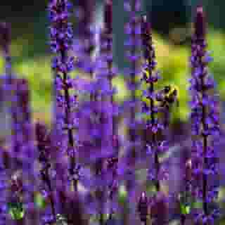 Buitenplaats De Bergse Bossen, 4 of 5