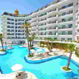 Asteria Bloom Side, 2 of 5