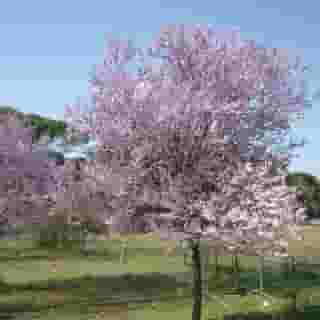 Ostello La Sterpaia, 4 of 5