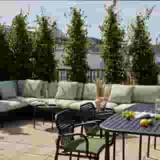 Schwan Locke, Landwehrstrasse, 2 of 5