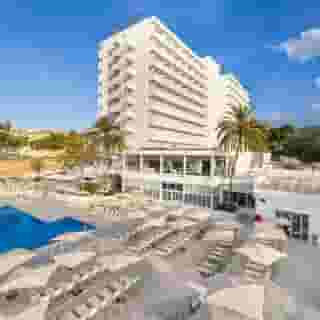 Globales Mimosa, 2 of 5