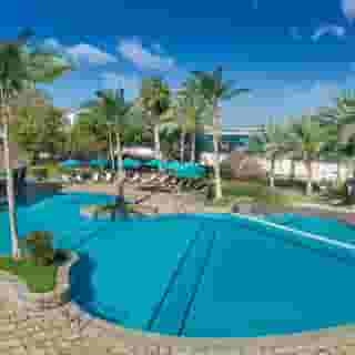 JA Palm Tree Court, 1 of 5