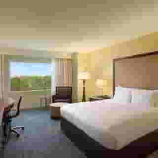 Hilton Orlando Bonnet Creek Disney World, 6 of 6