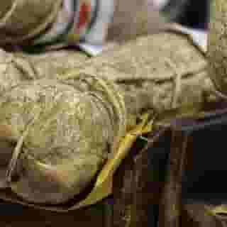 Casa Isolani Piazza Maggiore, 5 of 5